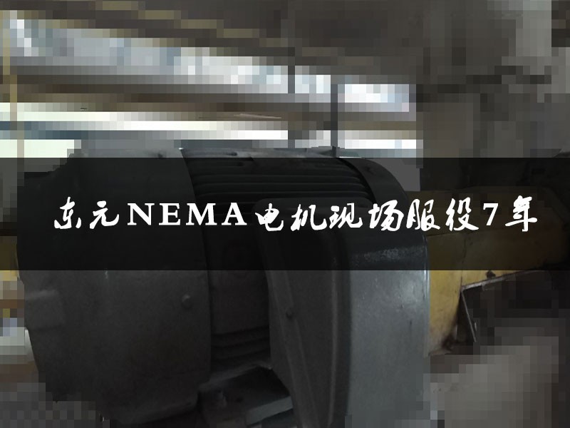 TECO東元NEMA電機現(xiàn)場檢測保養(yǎng)1