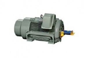 東元低壓大功率電機(jī)AEJE