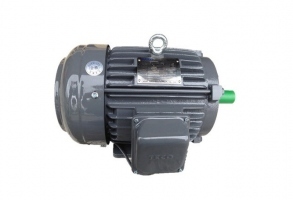 東元?jiǎng)x車電機(jī)（原裝）