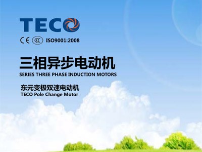 東元雙速電機(jī)型錄AEQE AEQC