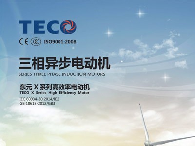 東元電機(jī)V系列X3型錄AEEVX3