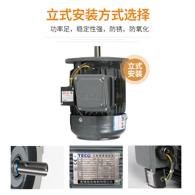 剎車(chē)電機(jī)