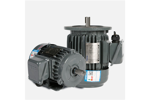 東元?jiǎng)x車(chē)電機(jī)